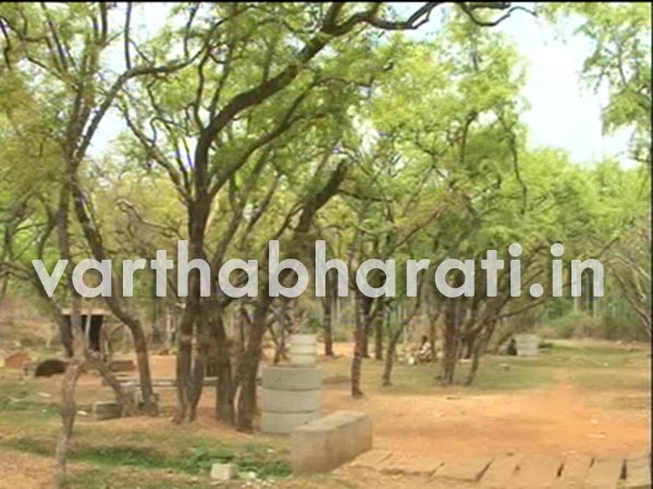 ಸಕರಾಯಪಟ್ಟಣದಲ್ಲಿದೆ ದಕ್ಷಿಣ ಭಾರತದಲ್ಲೇ ಹೆಚ್ಚು ವಿಸ್ತೀರ್ಣವಾಗಿರುವ ಬಿಲ್ವಪತ್ರೆ ವನ